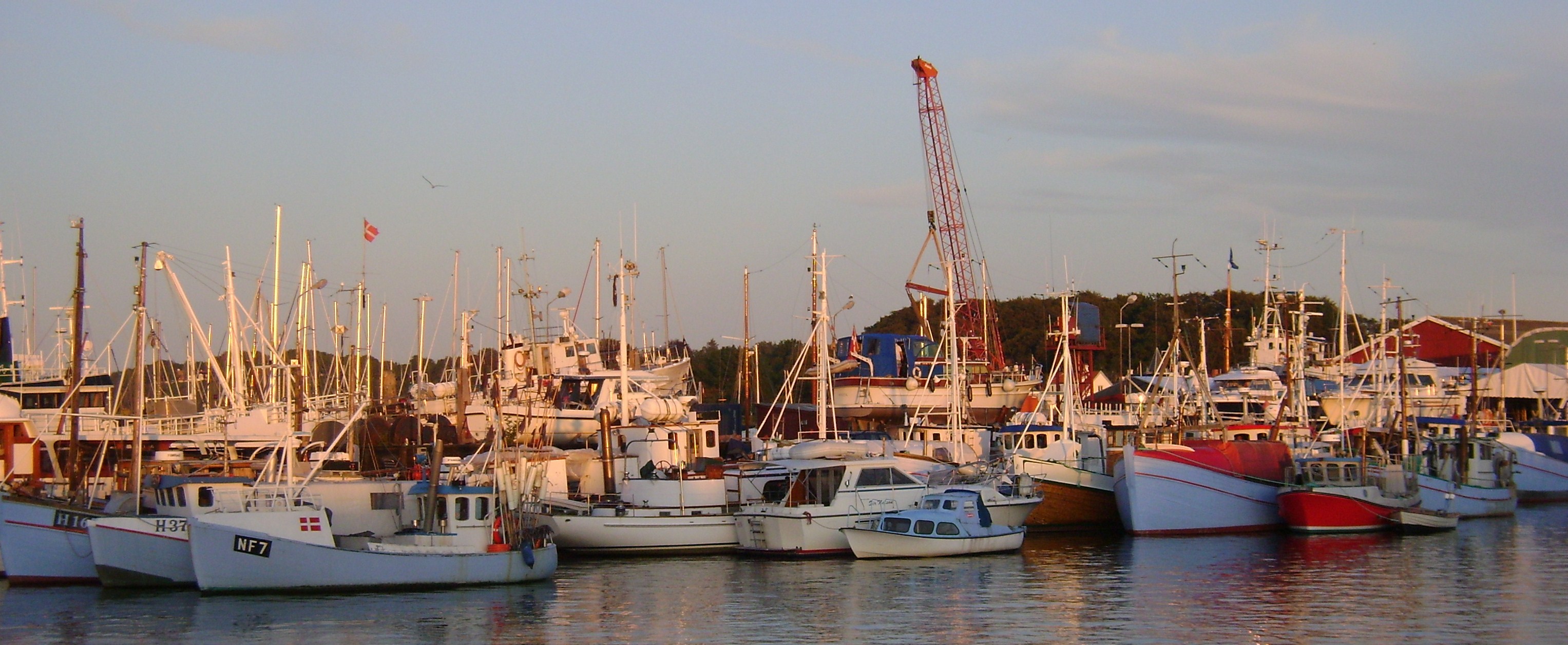 Gilleleje harbour